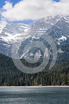 Vertical shot of alpine Tovel lake and cliffs with traceable geological patterns covered with green forest and snow,Â Trentino,